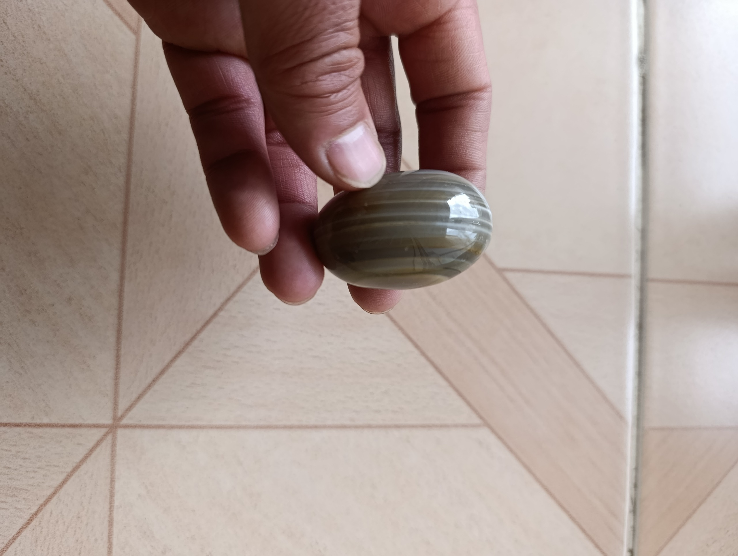 مهره سه پوست درشت