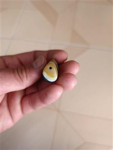 مهره