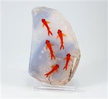 برکه
