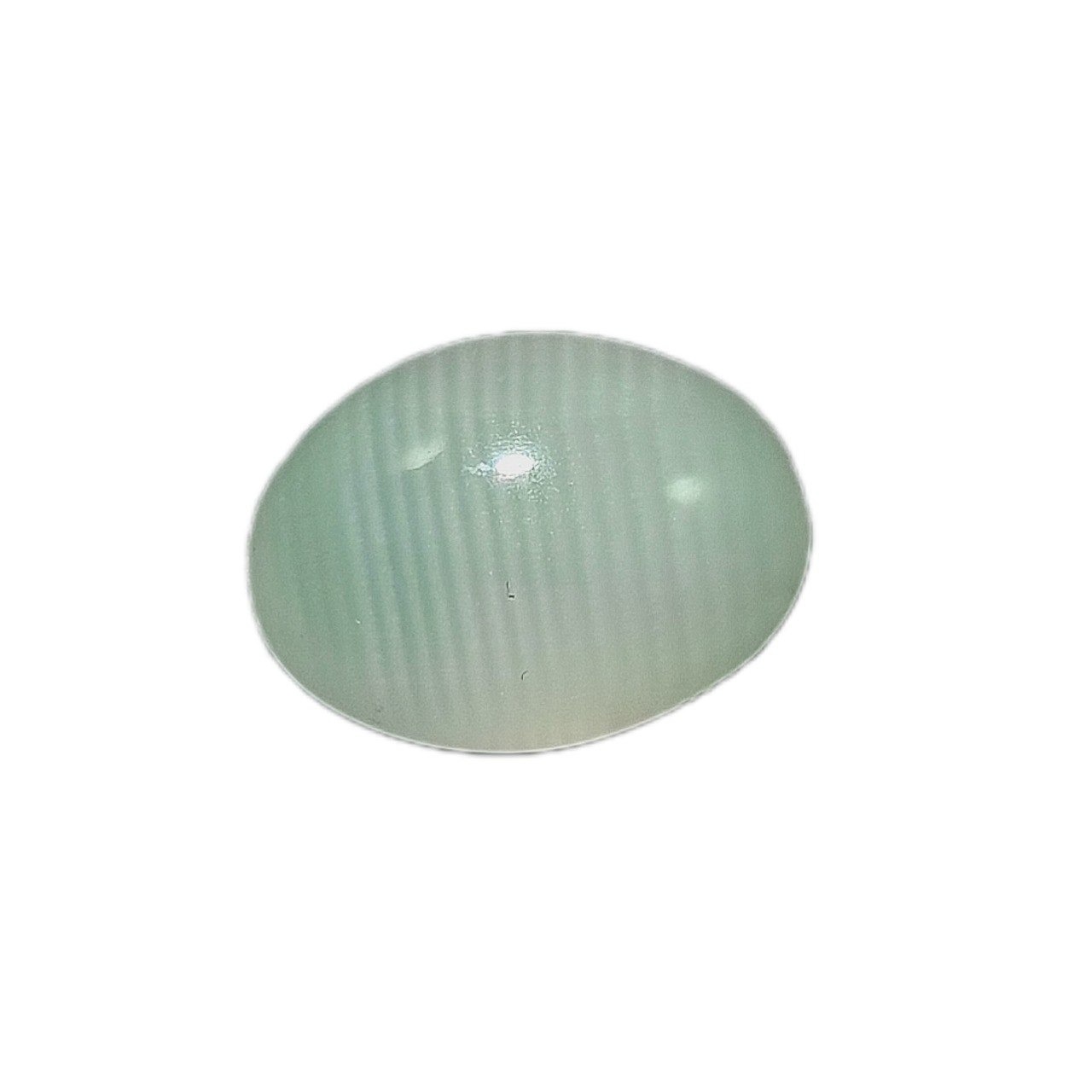 چشم گربه کد Y 7795