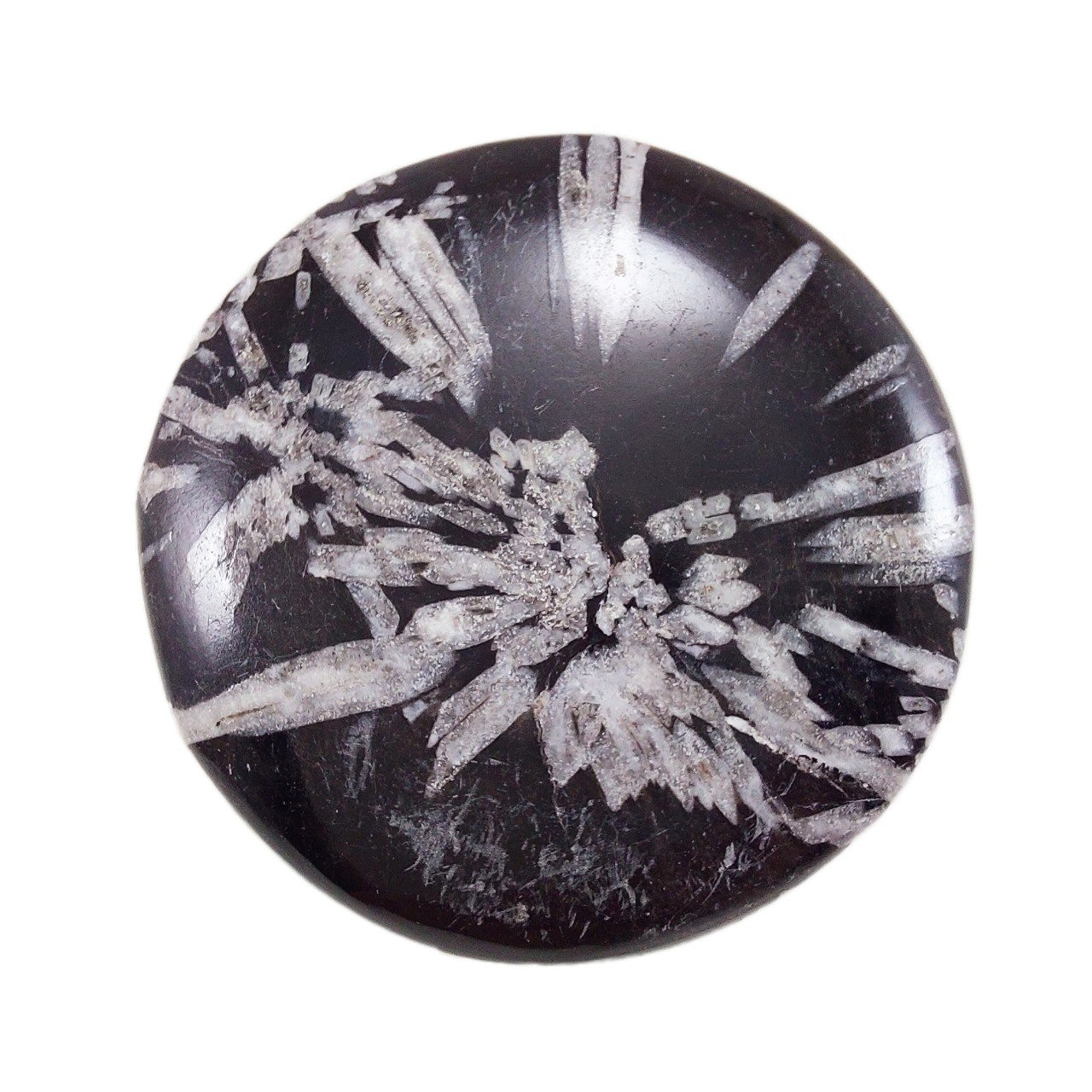 سنگ زیبا و کمیاب گل داوودی کدY 8747