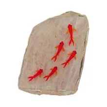 برکه