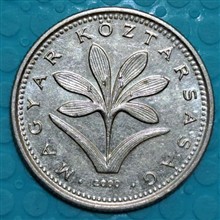 سکه