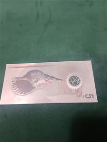 اسکناس