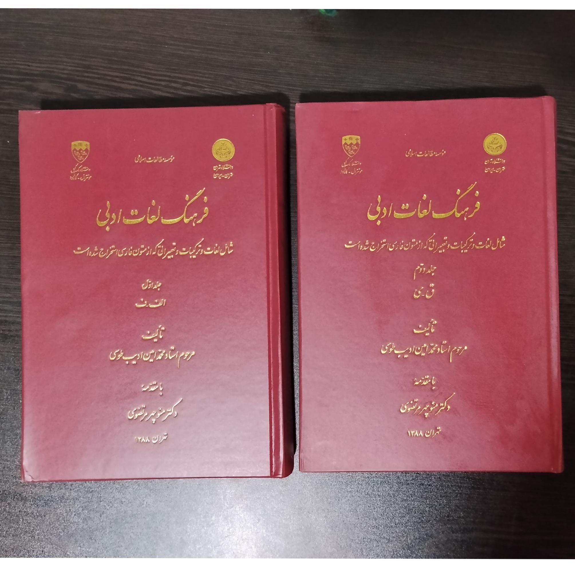 فرهنگ لغات ادبی (دو جلدی)