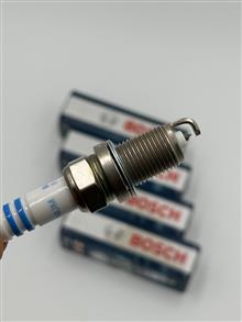 بوش