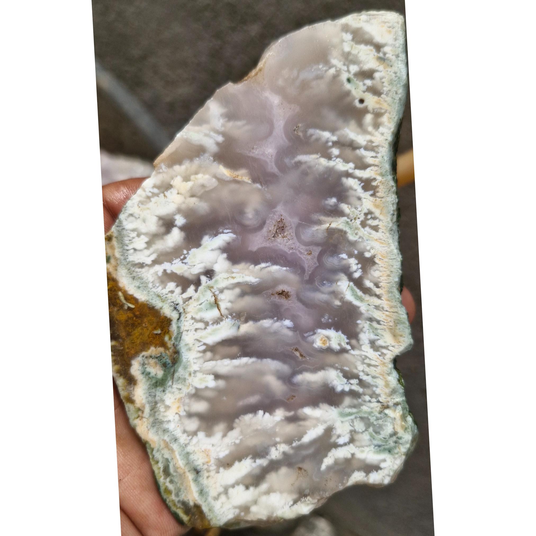 اسلایس شجر ناب