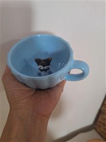 ماگ