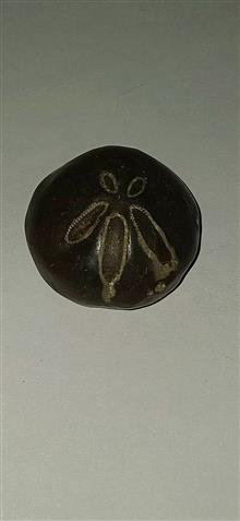یک
