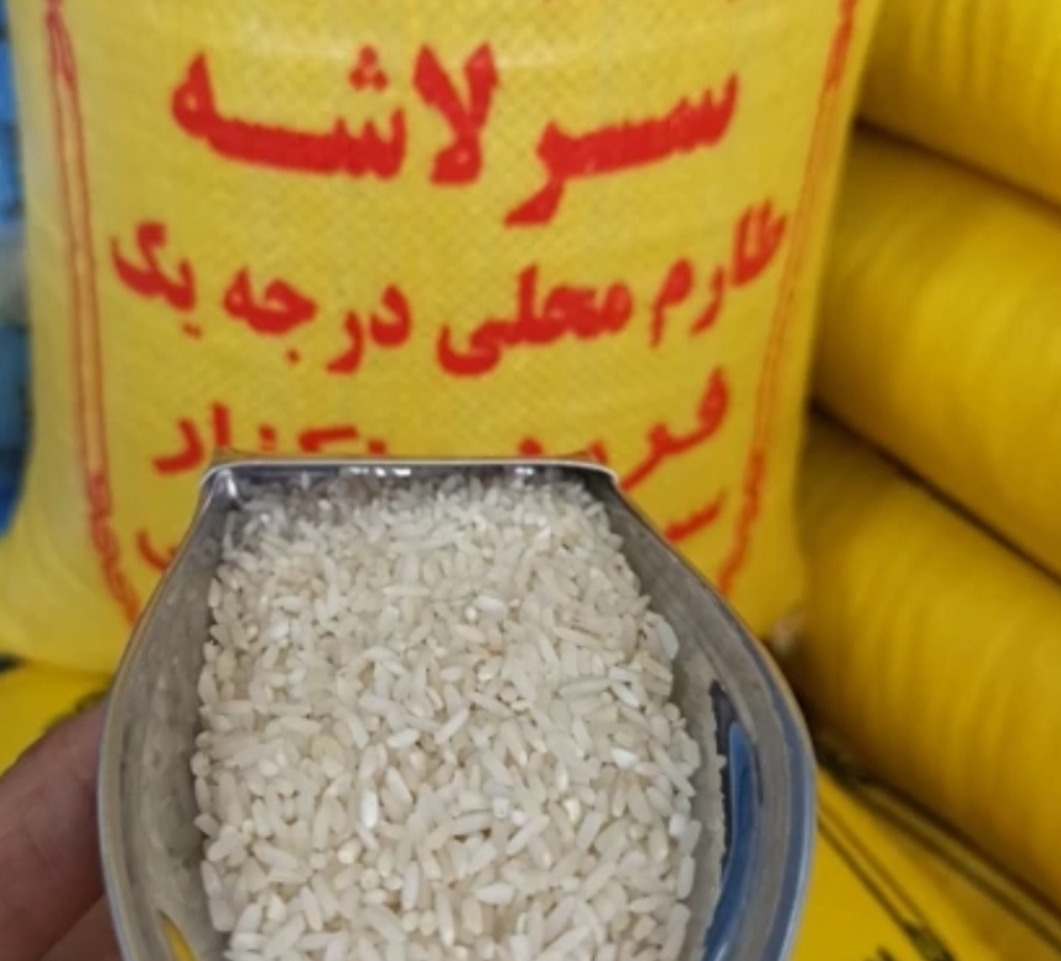 برنج سرلاشه طارم هاشمی (ارسال رایگان)