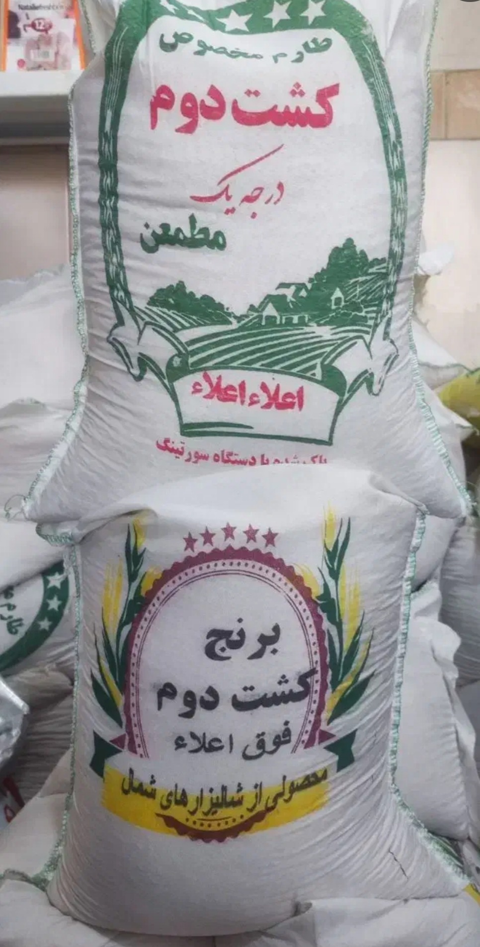 برنج طارم هاشمی کشت دو(ارسال رایگان)