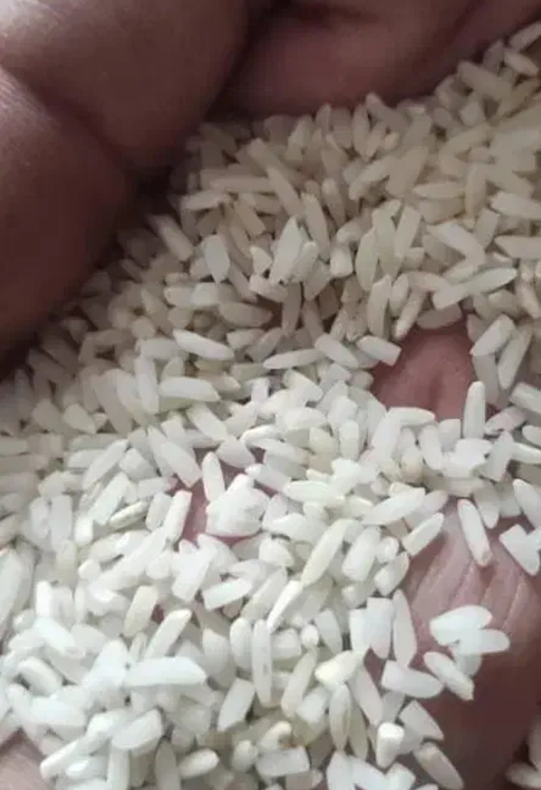 سرلاشه برنج طارم هاشمی