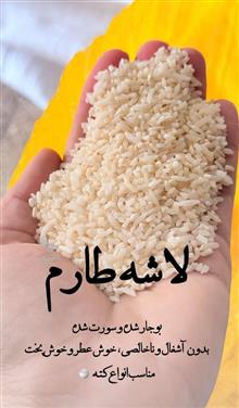 سرلاشه