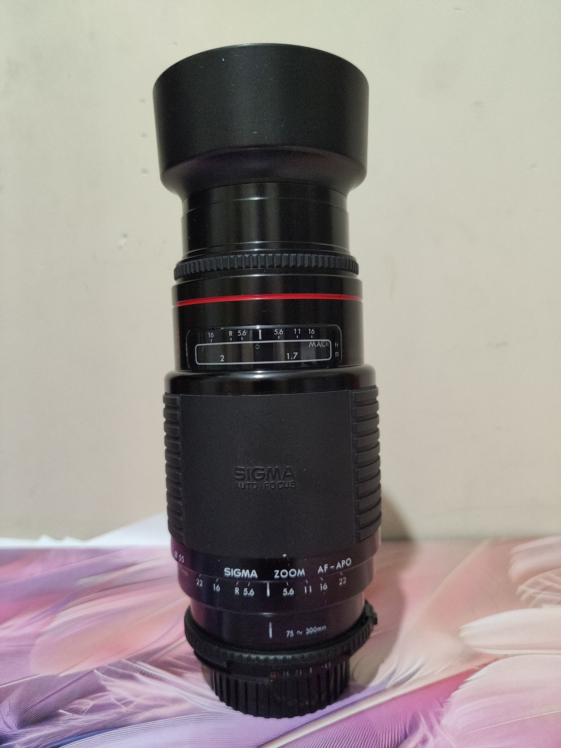 لنز سیگما 70-300 سری APO مخصوص نیکون در حد آک