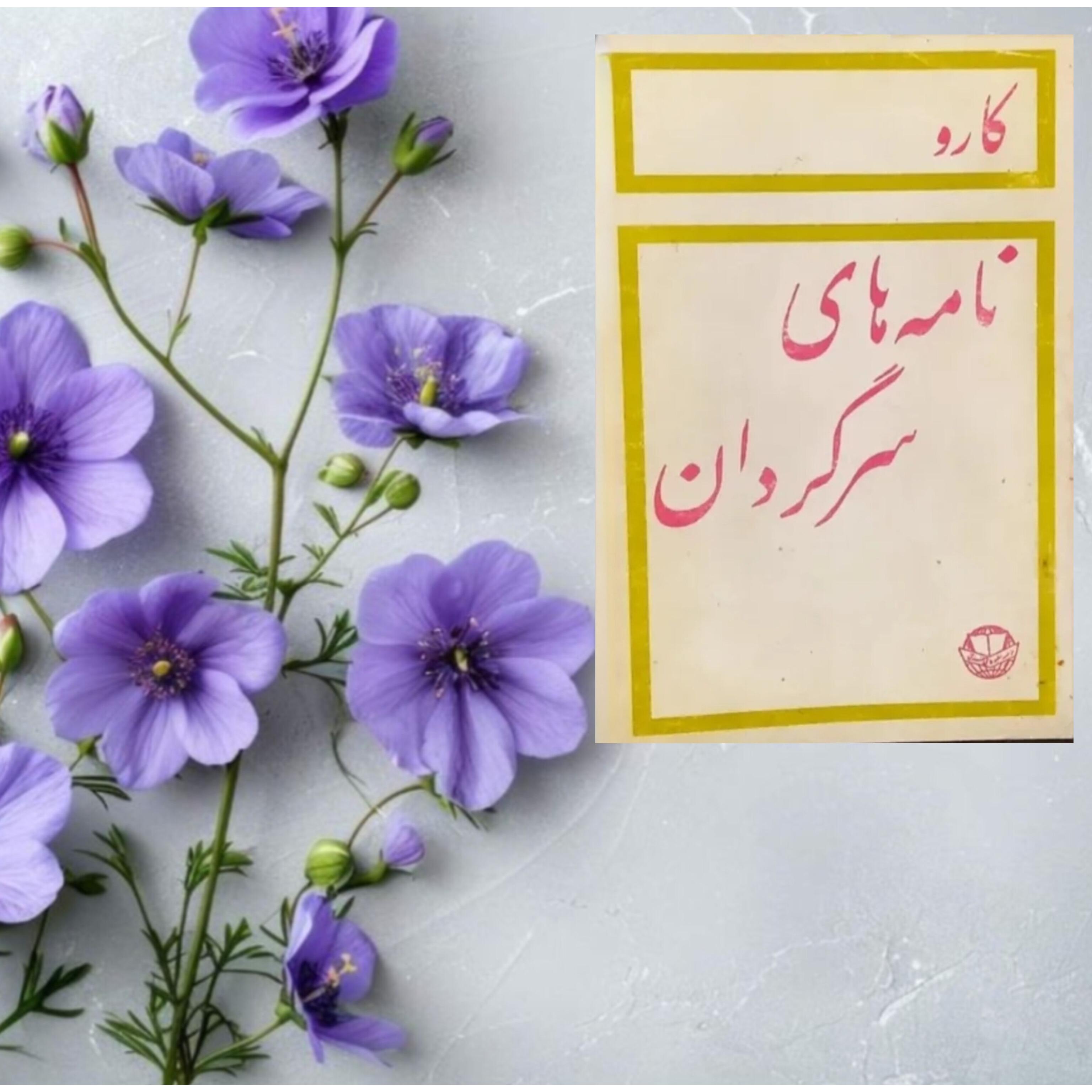 نامه های سرگردان