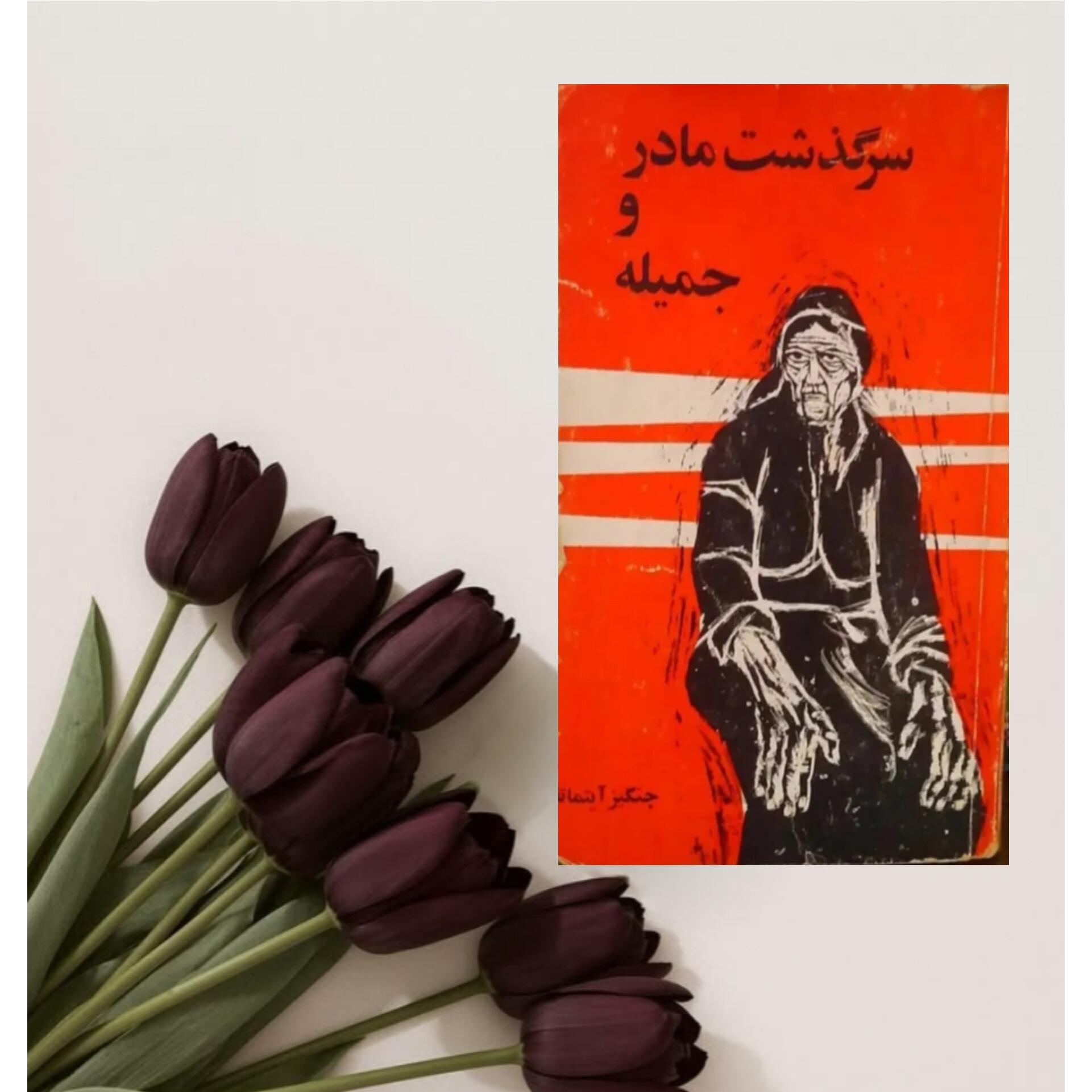 سرگذشت مادر و جمیله