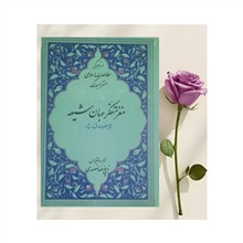 مغز
