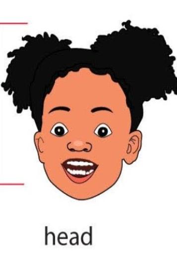 فلشکارت کتاب First Friends 1 ترم اول