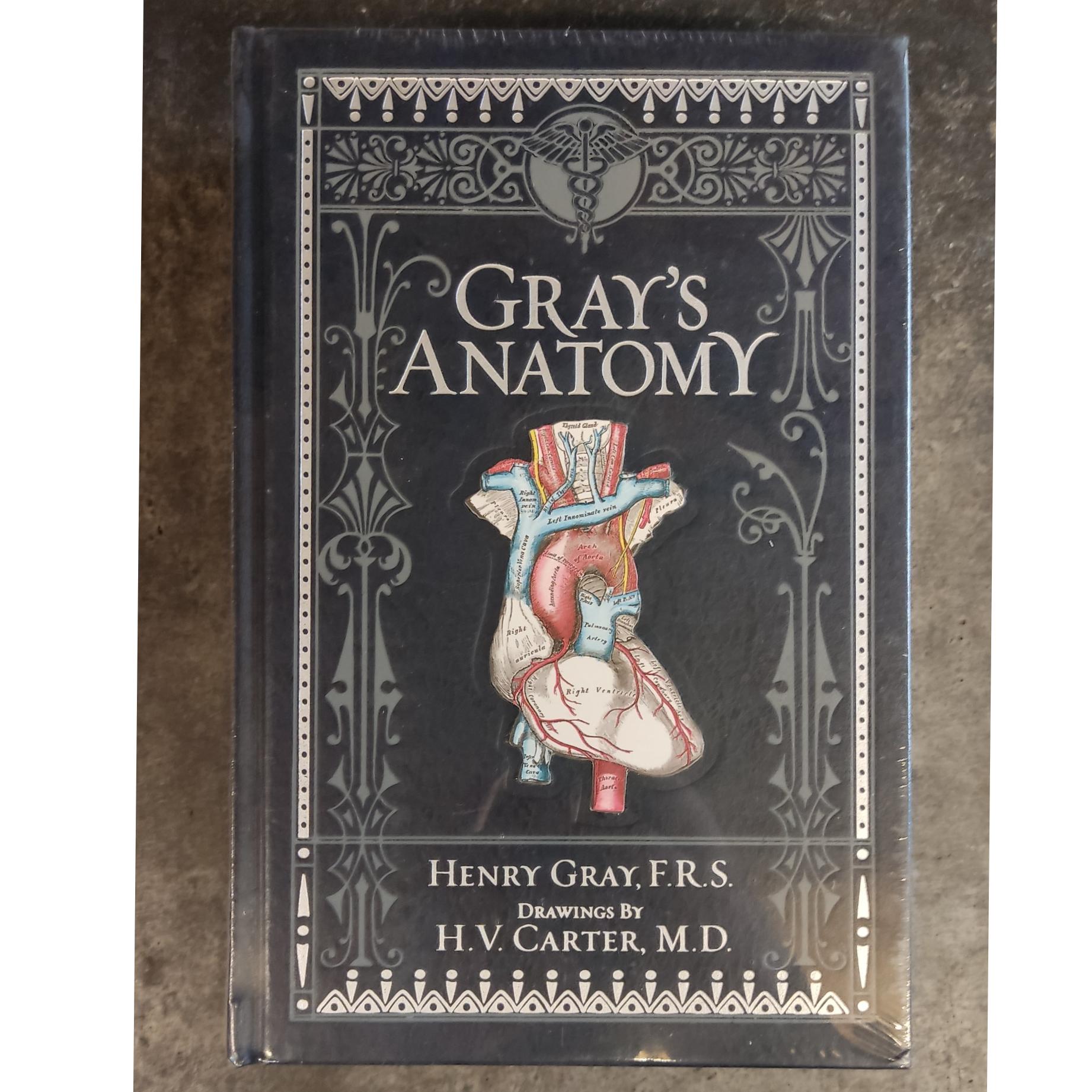 آناتومی گری Garys Anatomy