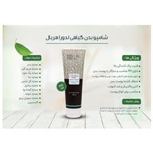 شامپو