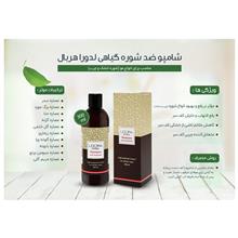 شامپو