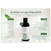 شامپو