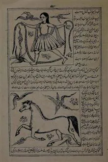 عجایب