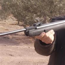 گامو