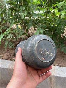دخل