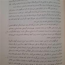 انسان