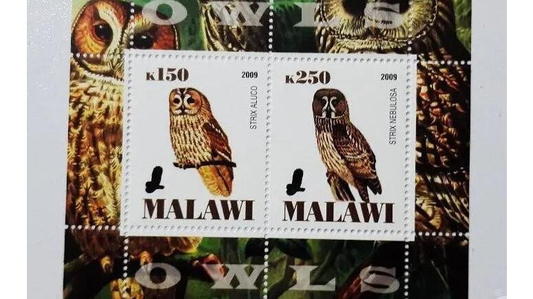 مینی شیت تمبر جغد - مالدیو 2009