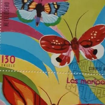 مینی شیت پروانه -