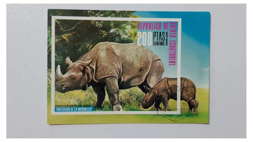 مینی شیت حیوانات 3