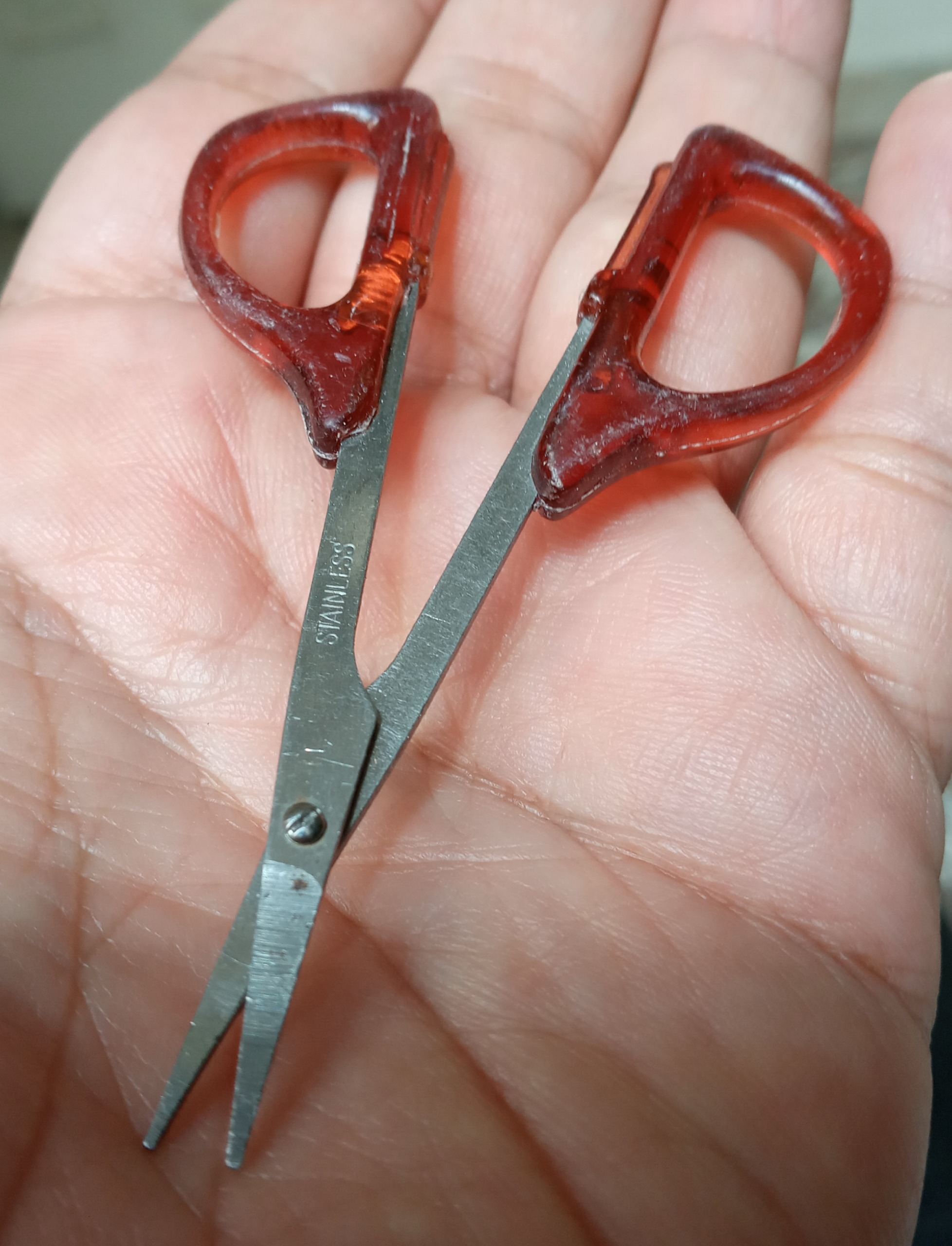 قیچی کوچک سالم