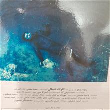 گلوگاه