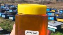 عسل