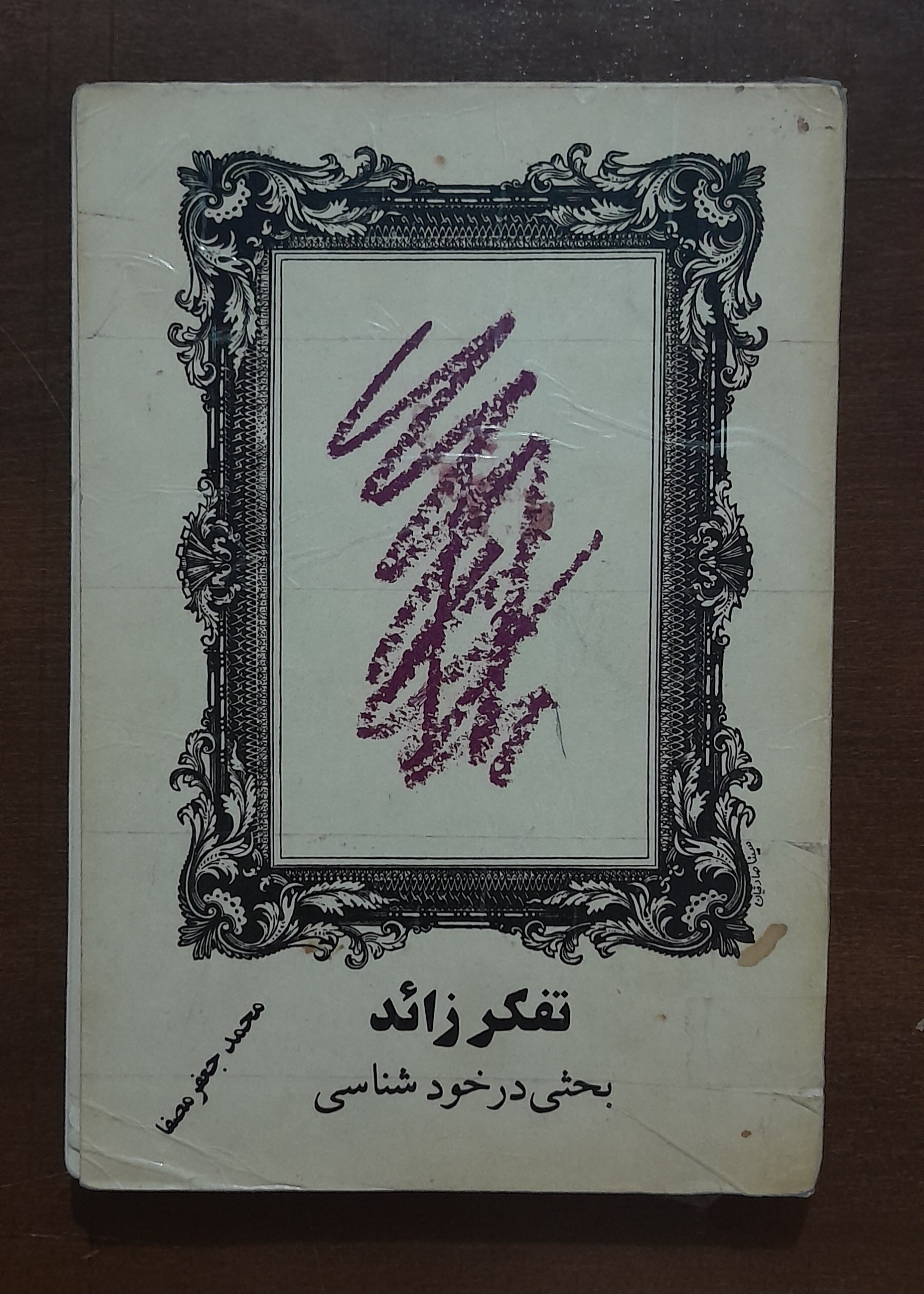 تفکر زائد (محمدجواد مصفا)