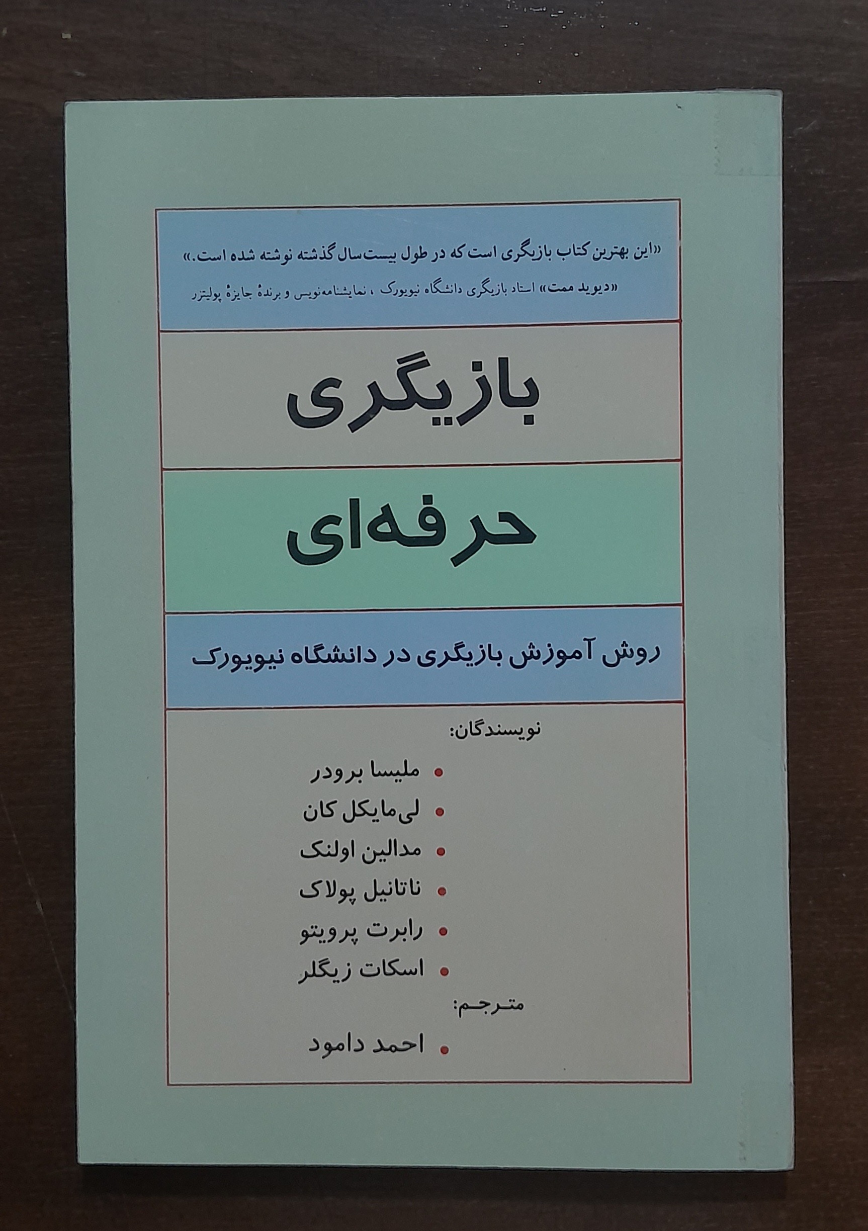 بازیگری حرفه ای