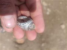 انگشتر