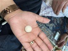 سنگ