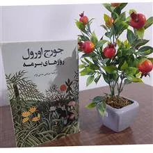 روزهای