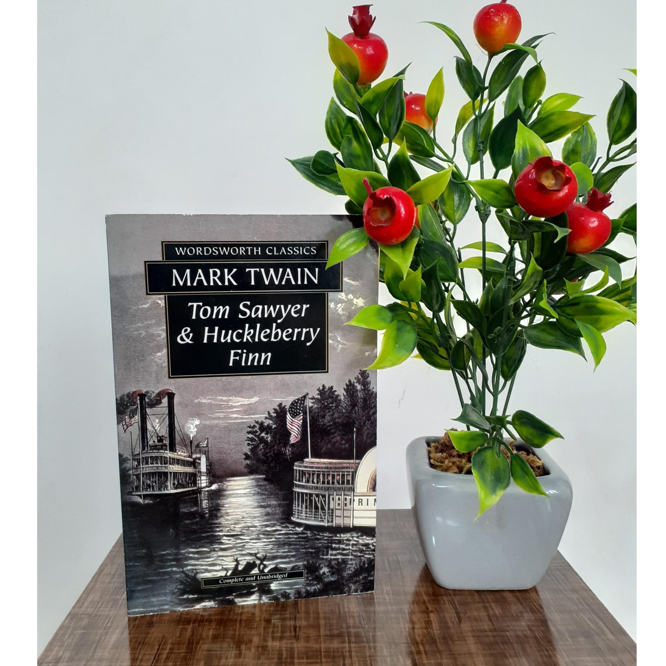 Tom Sawyer and Huckleberry Finn