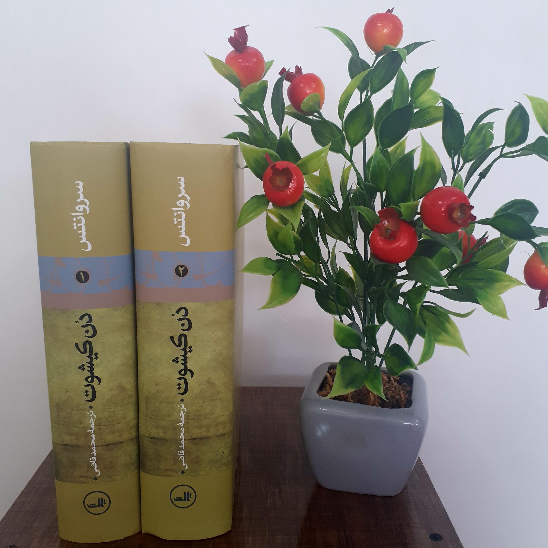 دن کیشوت _ سروانتس _ محمد قاضی