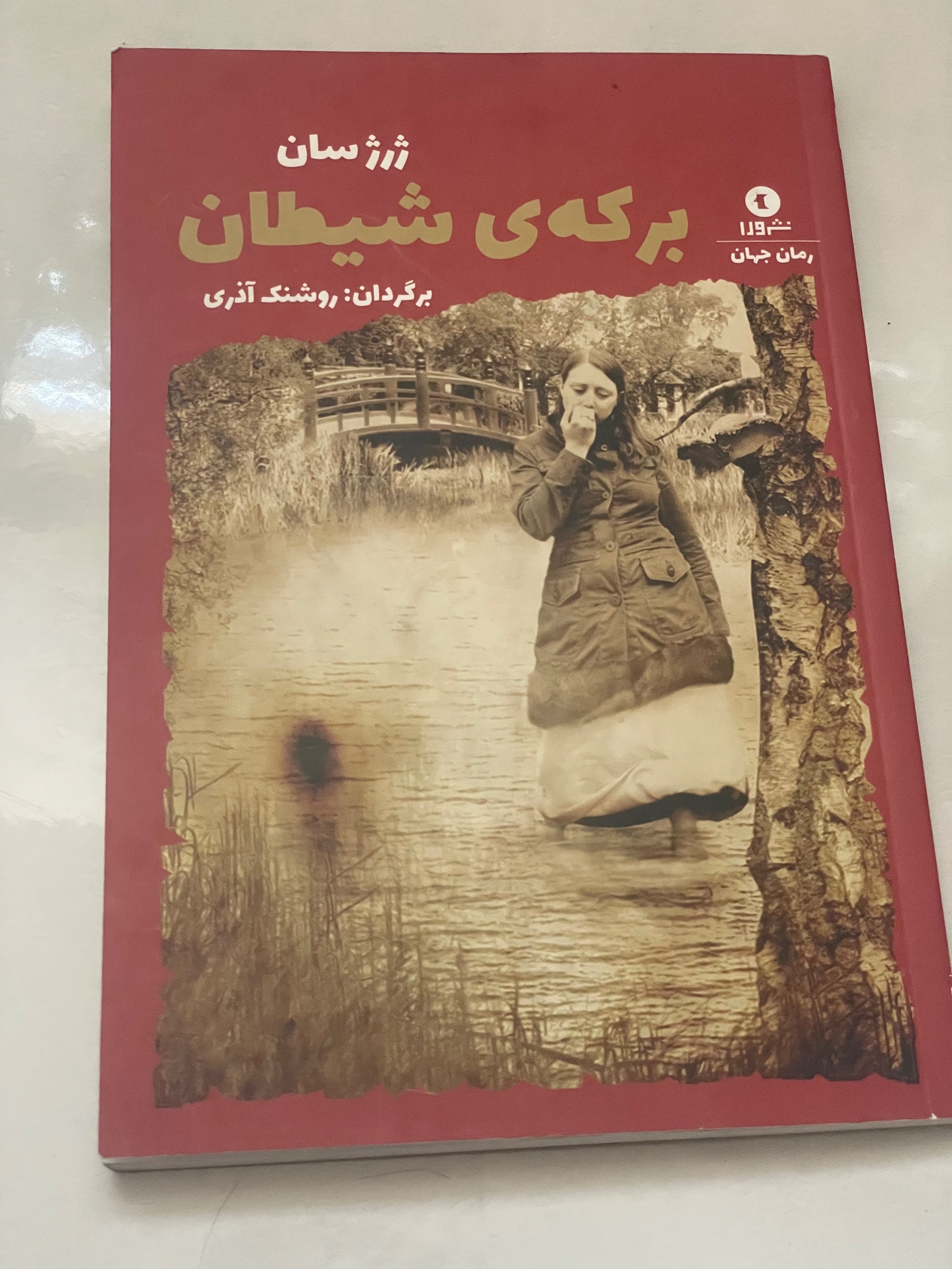 کتاب برکه ی شیطان . ژرژ سان