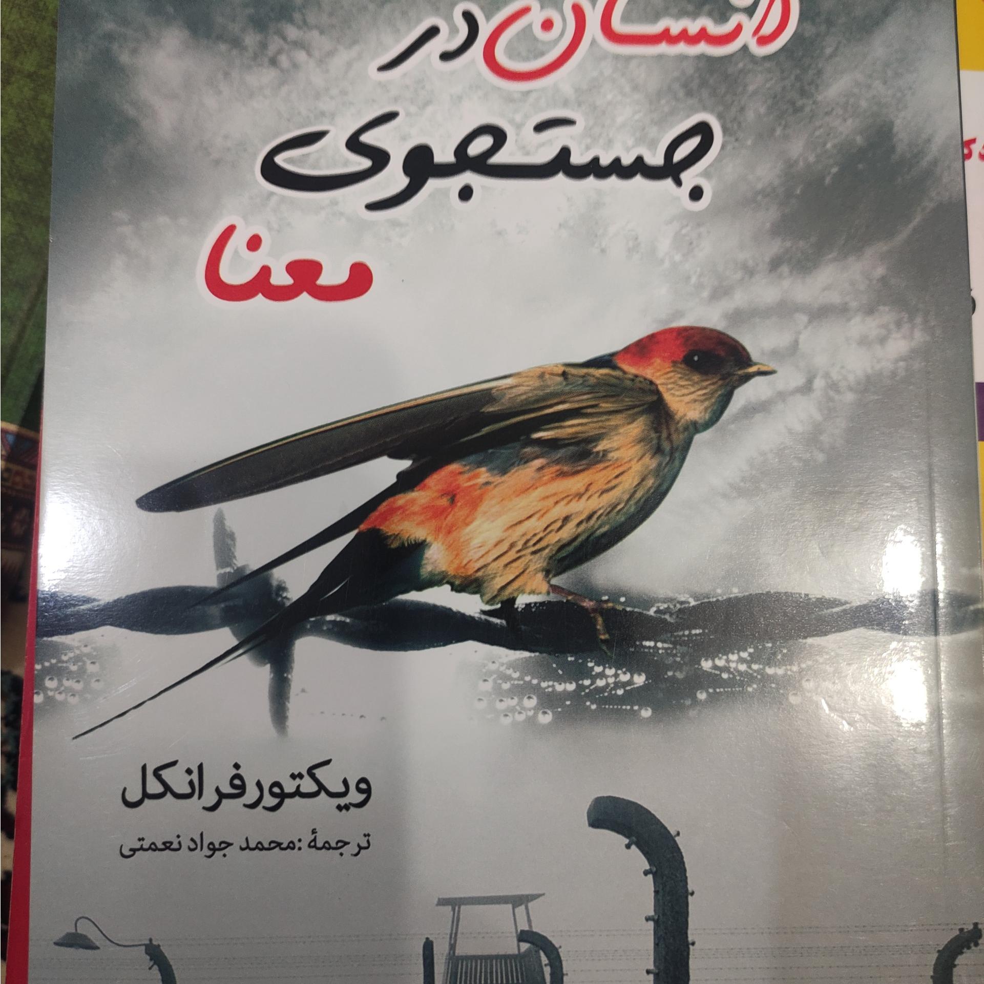 انسان در جستجوی معنا