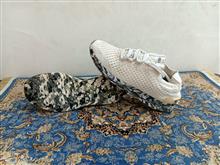 نوبل