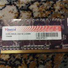 Ram