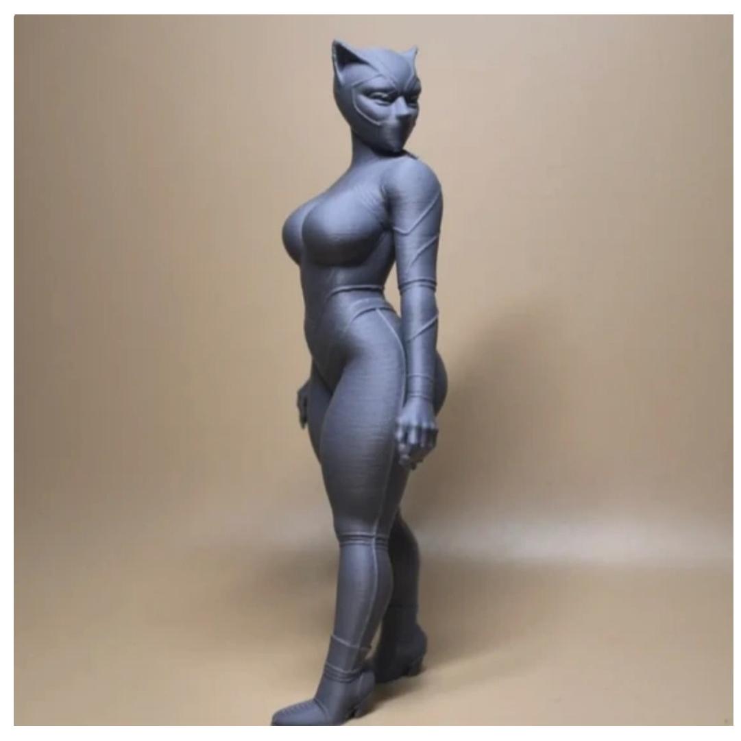فیگور مدل گربه