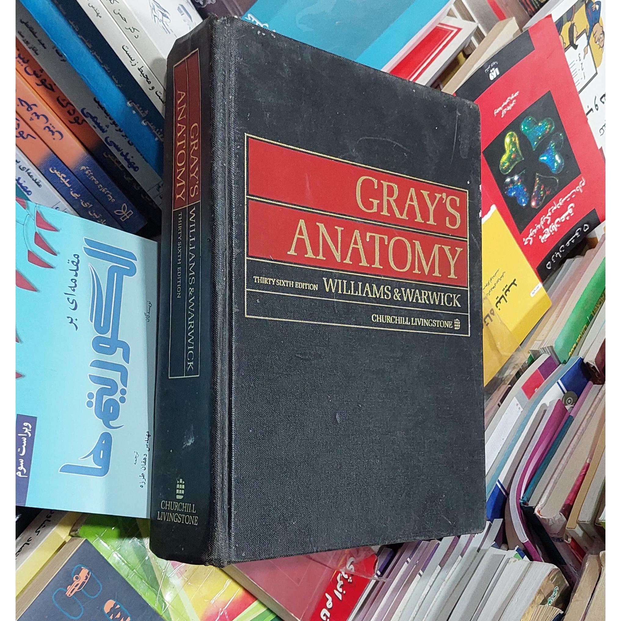 Grays Anatomy 36th edition