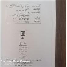 فرزند